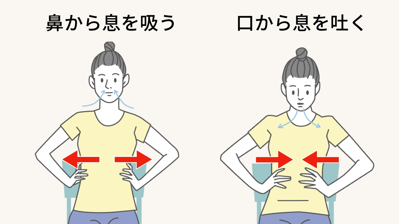 肋骨締めエクササイズ（呼気・横隔膜の強化）のイラスト